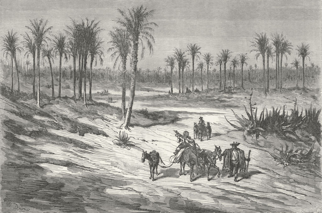 SPAIN. Palm groves of Elche, Alicante 1880 old antique vintage print picture